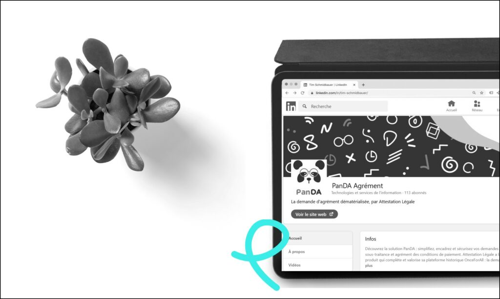 réseaux sociaux panda